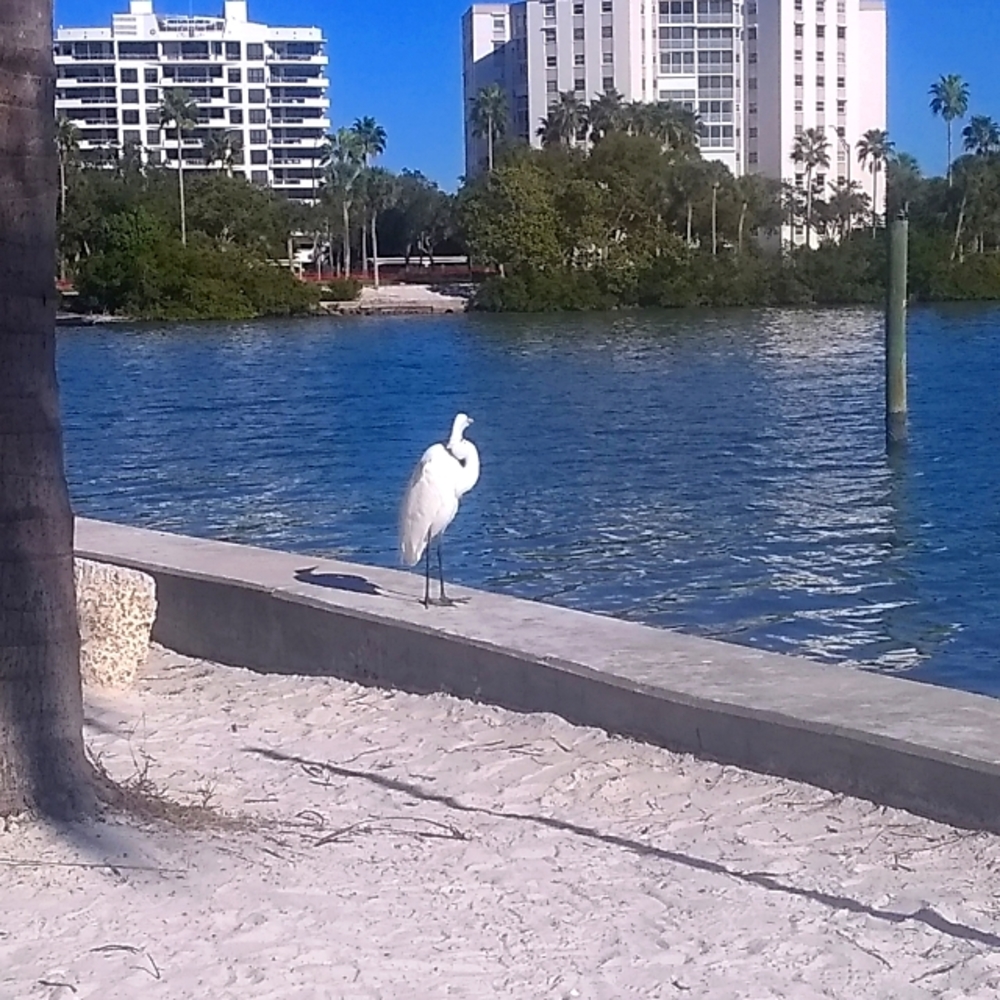 Shop Unique, High Quality Lifestyle Items